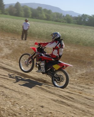 gymkhana categorie spectacle